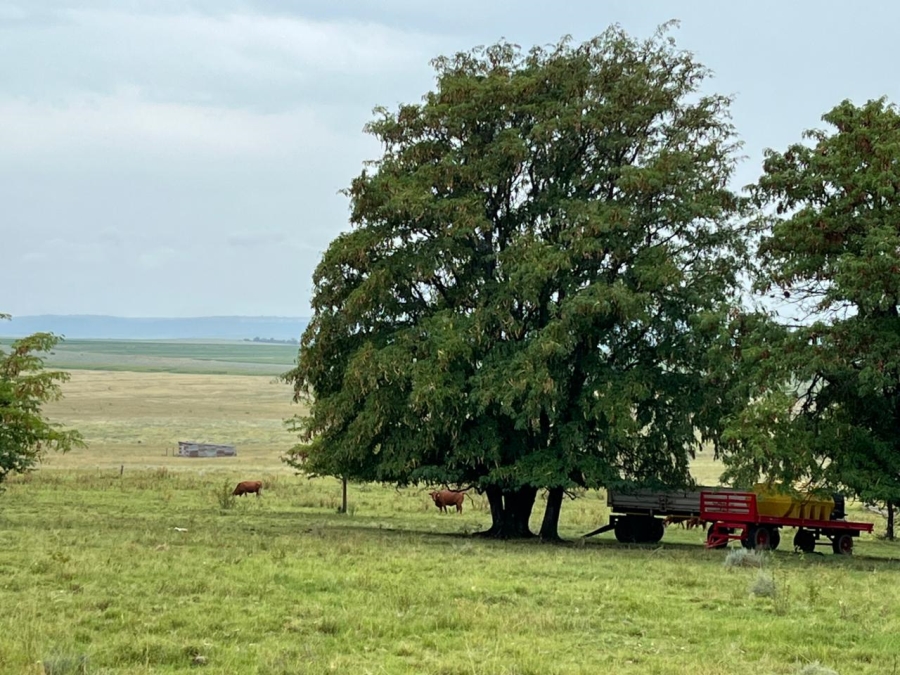 6 Bedroom Property for Sale in Ladybrand Rural Free State